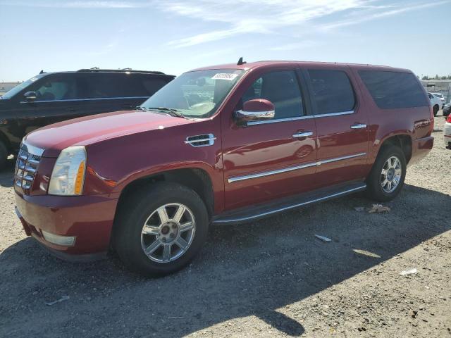 1GYFK66847R321396 - 2007 CADILLAC ESCALADE ESV BURGUNDY photo 1