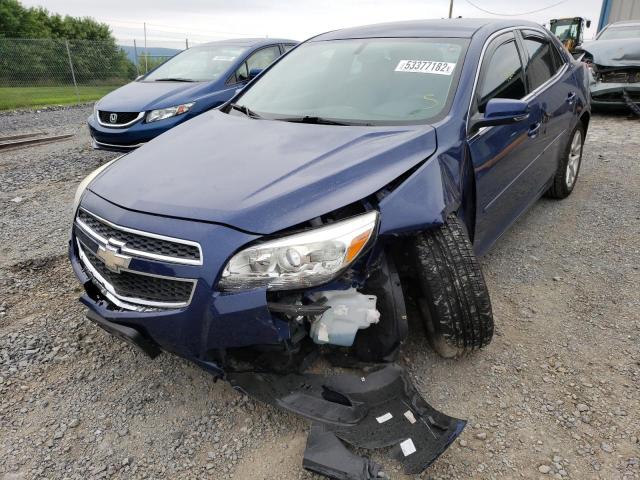 1G11C5SA3DU113141 - 2013 CHEVROLET MALIBU 1LT Bleu photo 2