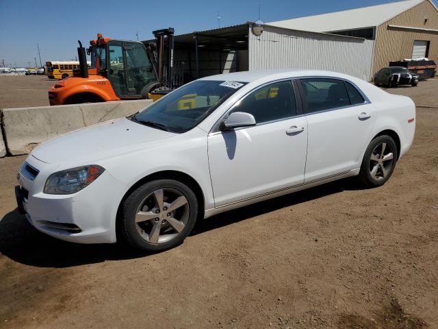 1G1ZC5EU2BF359107 - 2011 CHEVROLET MALIBU 1LT WHITE photo 1