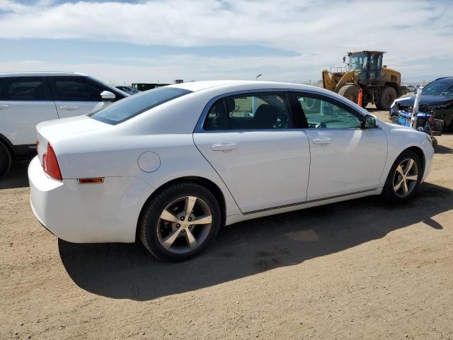 1G1ZC5EU2BF359107 - 2011 CHEVROLET MALIBU 1LT WHITE photo 3