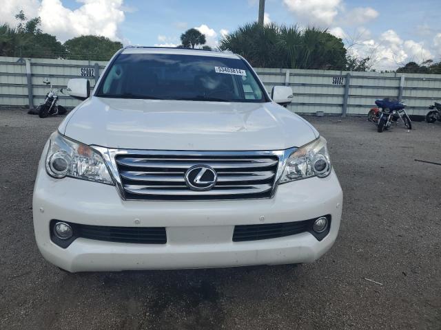 JTJBM7FX8D5058891 - 2013 LEXUS GX 460 WHITE photo 5