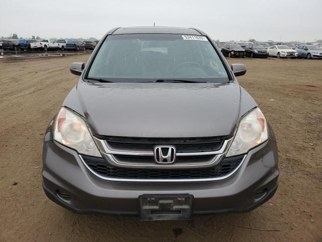 5J6RE4H7XAL066258 - 2010 HONDA CR-V EXL BROWN photo 5