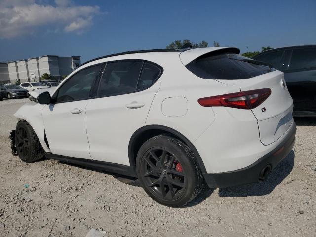 ZASPAKBN3K7C70518 - 2019 ALFA ROMEO STELVIO TI Սպիտակ լուսանկար 2