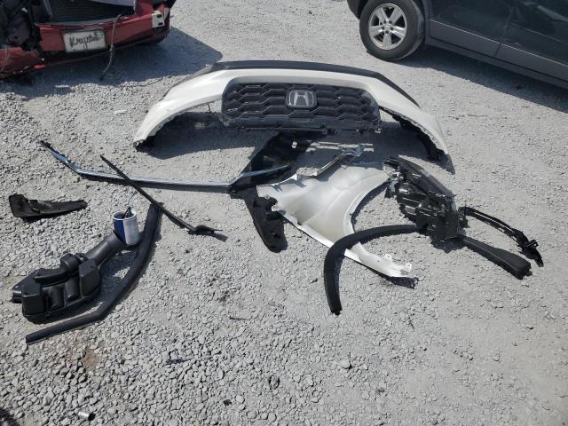 5FNYF8H59SB010319 - 2025 HONDA PASSPORT EXL أبيض صورة 13