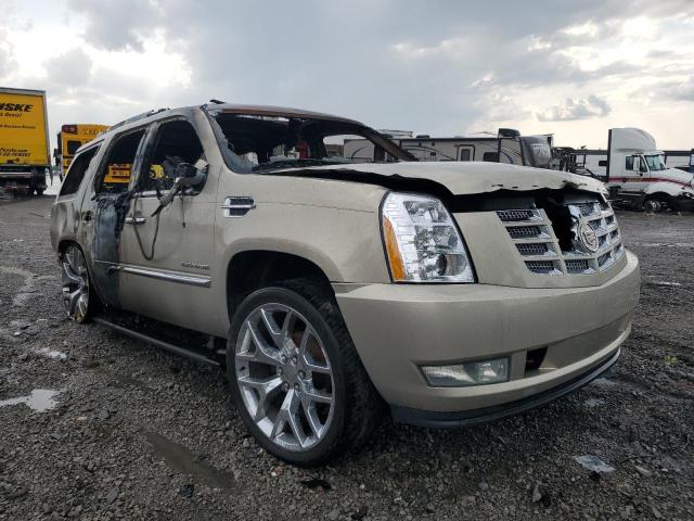 1GYUKCEF2AR159443 - 2010 CADILLAC ESCALADE PREMIUM BEIGE photo 4