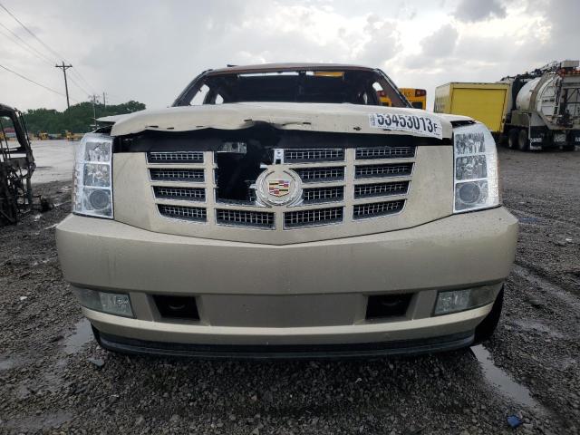 1GYUKCEF2AR159443 - 2010 CADILLAC ESCALADE PREMIUM BEIGE photo 5