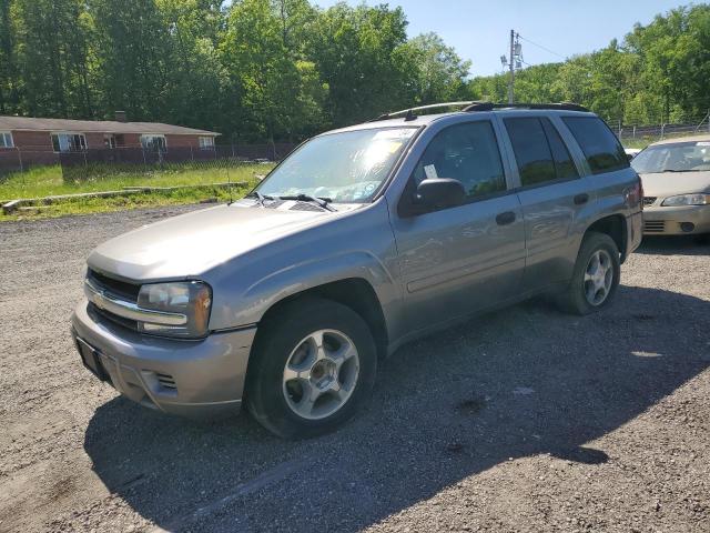 1GNDS13S072119025 - 2007 CHEVROLET TRAILBLAZE LS GRAY photo 1