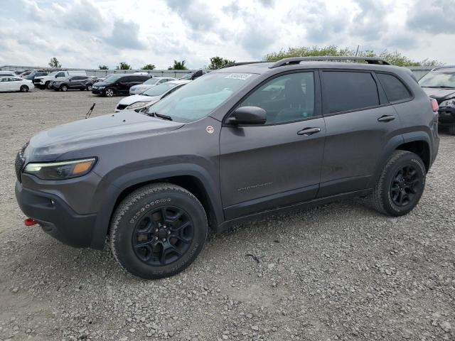 1C4PJMBNXLD549505 - 2020 JEEP CHEROKEE TRAILHAWK GRAY photo 1