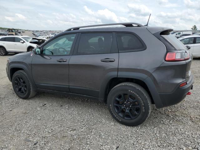 1C4PJMBNXLD549505 - 2020 JEEP CHEROKEE TRAILHAWK GRAY photo 2