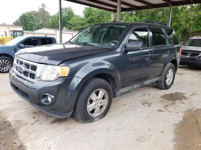 2009 FORD ESCAPE XLT, 