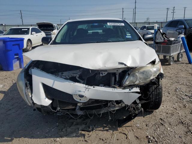 1NXBU4EE6AZ254875 - 2010 TOYOTA COROLLA BASE WHITE photo 5