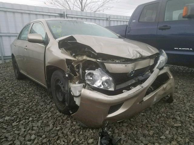 2T1BU4EEXAC333659 - 2010 TOYOTA COROLLA BASE  photo 1