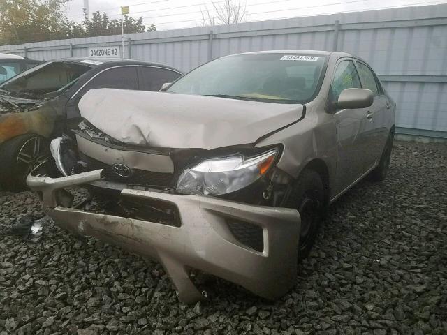 2T1BU4EEXAC333659 - 2010 TOYOTA COROLLA BASE  照片 2