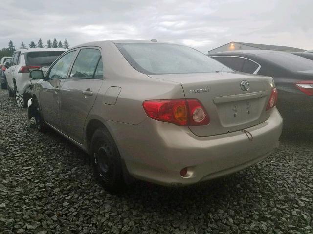 2T1BU4EEXAC333659 - 2010 TOYOTA COROLLA BASE  photo 3