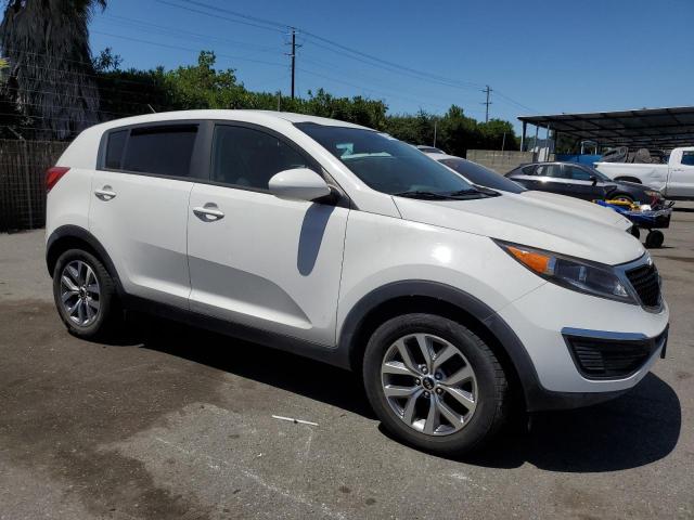 KNDPB3AC1G7879108 - 2016 KIA SPORTAGE LX WHITE photo 4