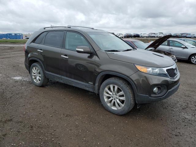 5XYKUDA20BG080479 - 2011 KIA SORENTO EX BROWN photo 4