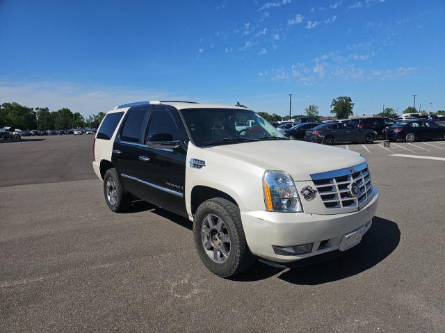 1GYFK63877R170686 - 2007 CADILLAC ESCALADE LUXURY WHITE photo 1