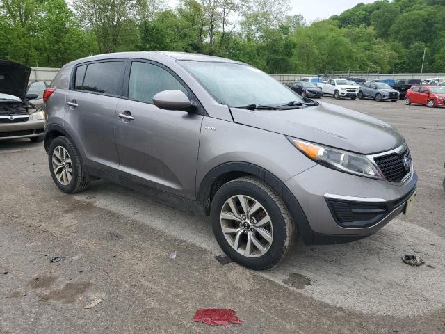 KNDPBCACXE7550260 - 2014 KIA SPORTAGE LX GRAY photo 4