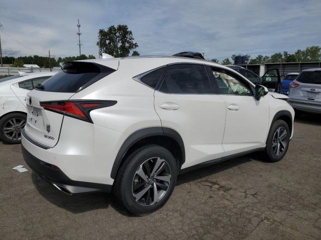 JTJYARBZ3K2136661 - 2019 LEXUS NX 300 BASE თეთრი ფოტო 3