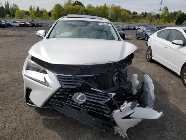 JTJYARBZ3K2136661 - 2019 LEXUS NX 300 BASE თეთრი ფოტო 5