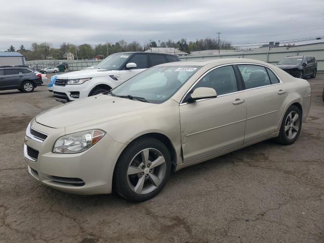 1G1ZC5E11BF240471 - 2011 CHEVROLET MALIBU 1LT 米色 照片 1