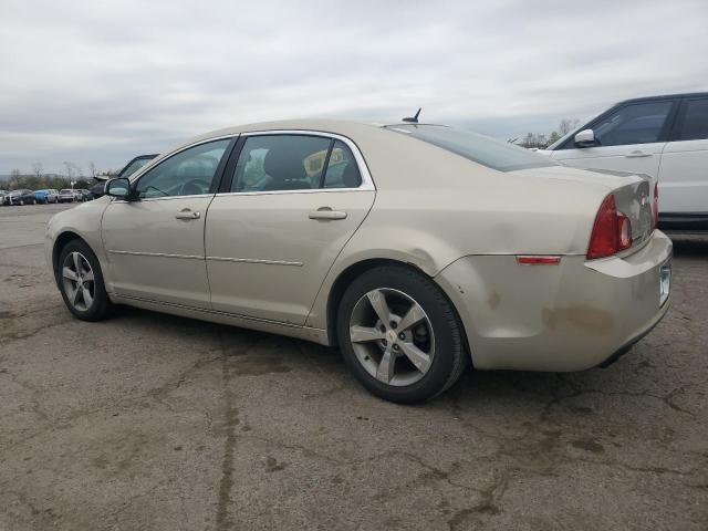 1G1ZC5E11BF240471 - 2011 CHEVROLET MALIBU 1LT 米色 照片 2