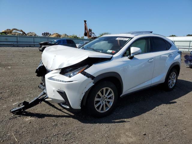 JTJDARDZXM5022766 - 2021 LEXUS NX 300 BASE თეთრი ფოტო 1