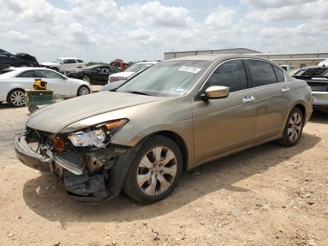2008 HONDA ACCORD EXL, null