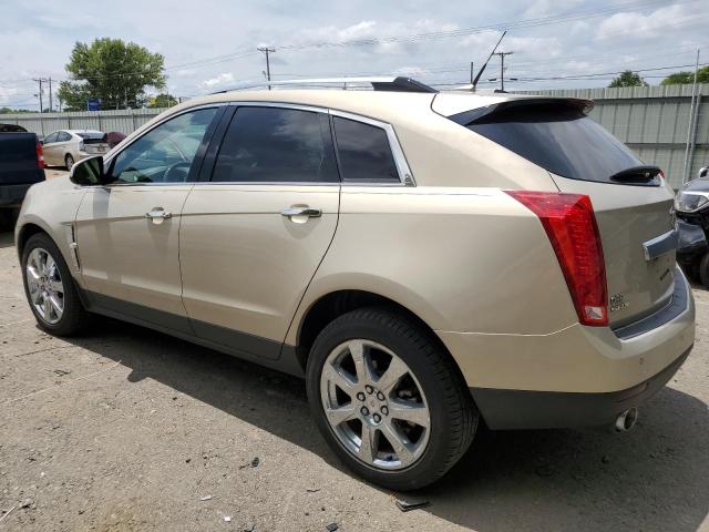 3GYFNBEY0AS646326 - 2010 CADILLAC SRX PERFORMANCE COLLECTION Beżowy zdjęcie 2