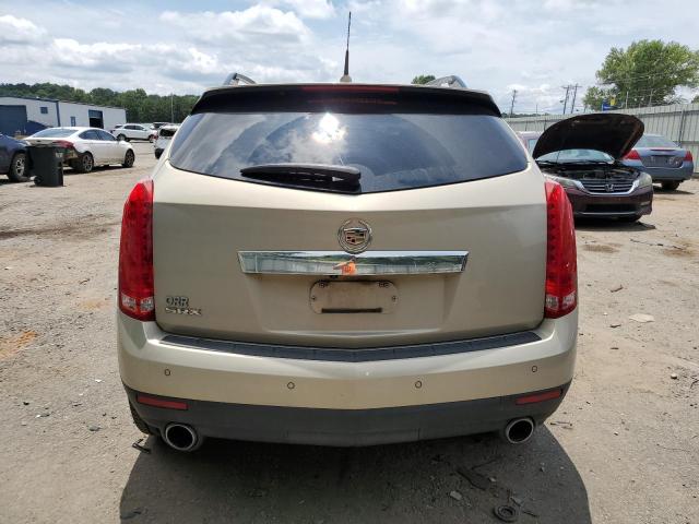 3GYFNBEY0AS646326 - 2010 CADILLAC SRX PERFORMANCE COLLECTION Beżowy zdjęcie 6