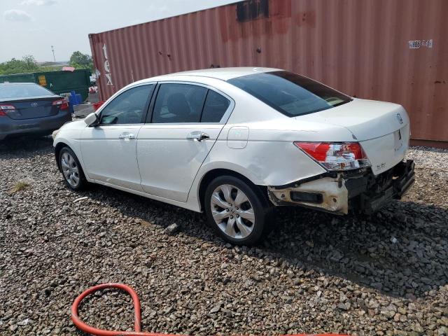 5KBCP3F81AB015229 - 2010 HONDA ACCORD EXL WHITE photo 2