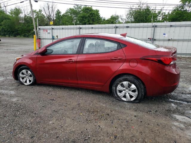 5NPDH4AE8GH671649 - 2016 HYUNDAI ELANTRA SE RED photo 2