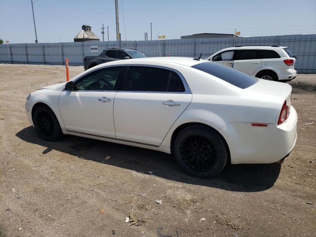 1G1ZE5E70BF292219 - 2011 CHEVROLET MALIBU LTZ Beyaz fotoğraf 2