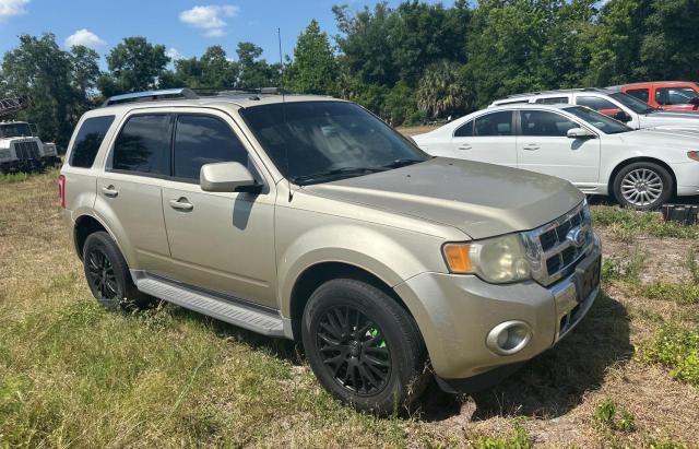 1FMCU0EG9BKC02331 - 2011 FORD ESCAPE LIMITED GOLD photo 1