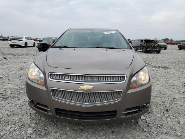 1G1ZE5E78BF315536 - 2011 CHEVROLET MALIBU LTZ Gris photo 5