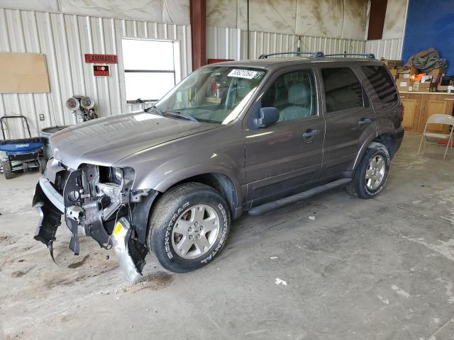 2007 FORD ESCAPE XLT, 