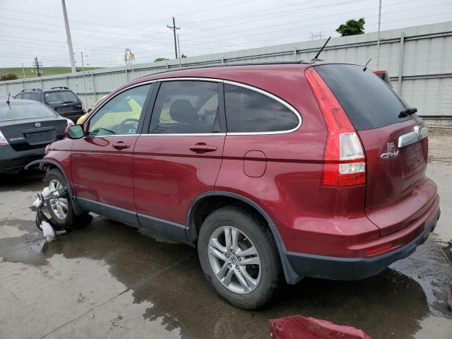 5J6RE4H74AL032168 - 2010 HONDA CR-V EXL BURGUNDY photo 2