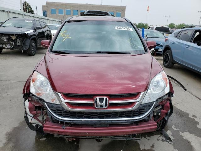 5J6RE4H74AL032168 - 2010 HONDA CR-V EXL BURGUNDY photo 5