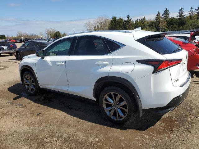 JTJSARDZ6M5023744 - 2021 LEXUS NX 300 BASE თეთრი ფოტო 2