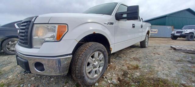 2011 FORD F150 SUPERCREW, 