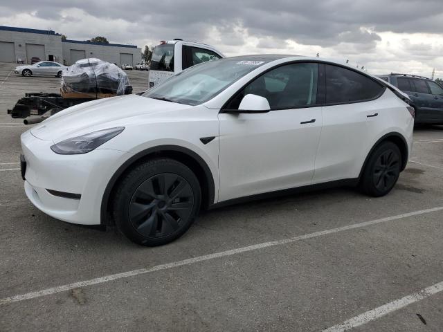 2024 TESLA MODEL Y, null