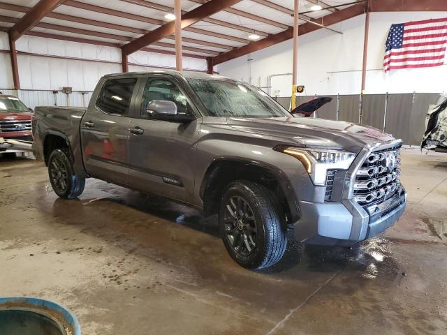 5TFNA5DB6RX164532 - 2024 TOYOTA TUNDRA CREWMAX PLATINUM GRAY photo 4