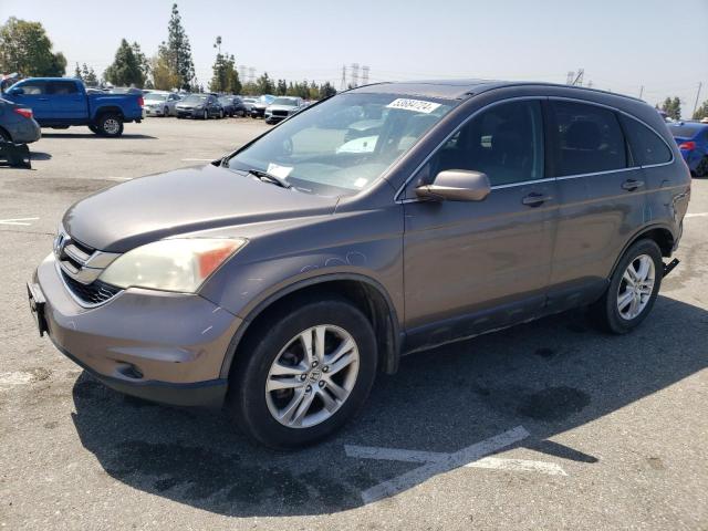 5J6RE3H72AL022068 - 2010 HONDA CR-V EXL GRAY photo 1