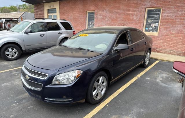 1G1ZB5EB6AF196056 - 2010 CHEVROLET MALIBU LS Blau Foto 2