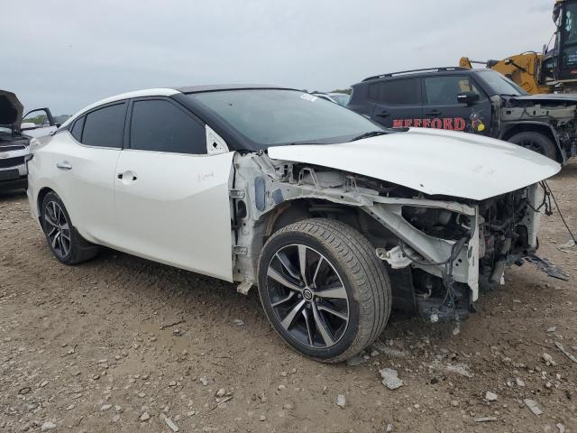 1N4AA6AV4KC375380 - 2019 NISSAN MAXIMA S თეთრი ფოტო 4