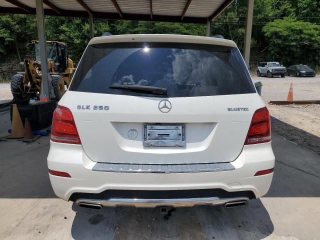 WDCGG0EB3DG123660 - 2013 MERCEDES-BENZ GLK 250 BLUETEC WHITE photo 6