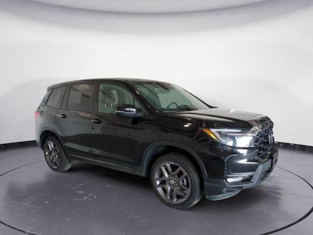 5FNYF8H53NB005590 - 2022 HONDA PASSPORT EXL Qara foto 4