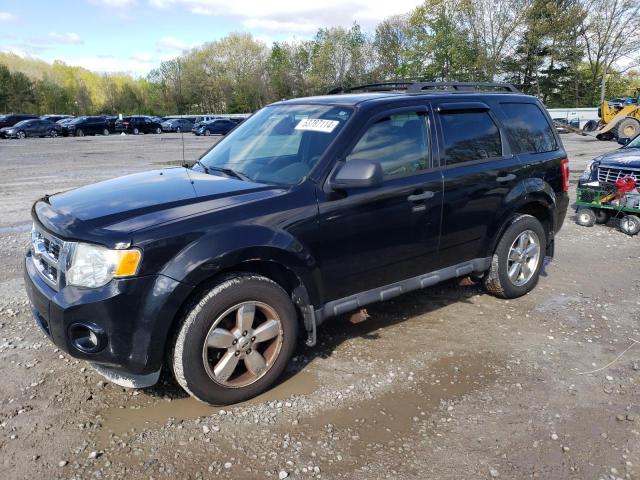 2011 FORD ESCAPE XLT, 