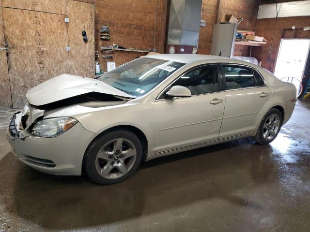 1G1ZC5EBXAF122829 - 2010 CHEVROLET MALIBU 1LT 米色 照片 1