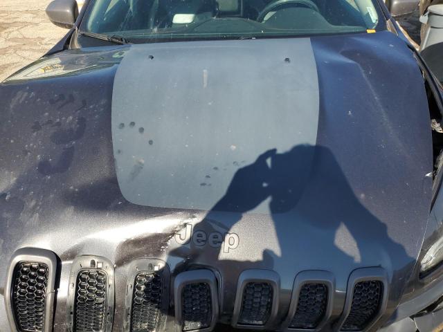 1C4PJMBB7HW590109 - 2017 JEEP CHEROKEE TRAILHAWK CHARCOAL photo 12